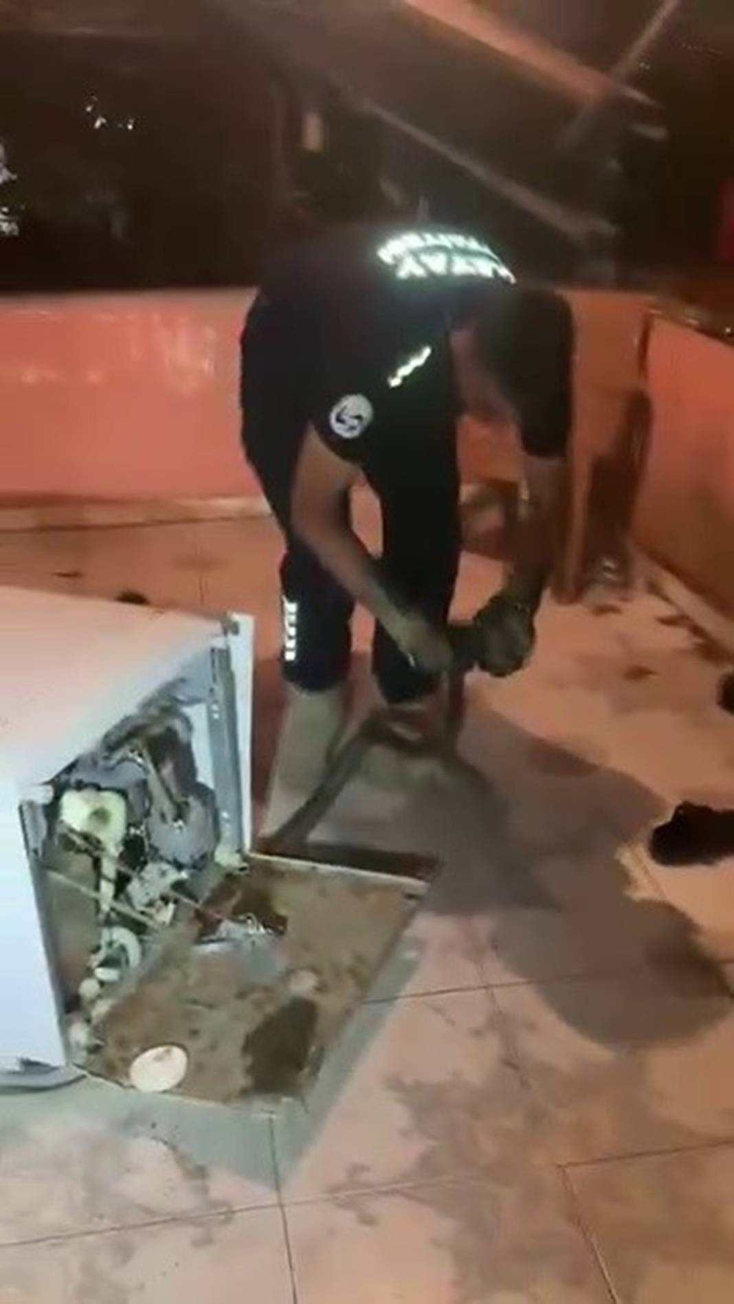 Bulaşık makinesinden 2 metrelik karayılan çıktı! 2